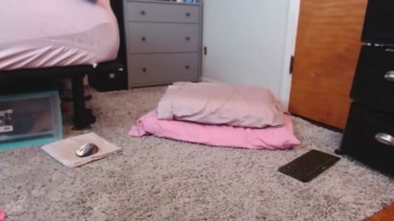 Cuteypi  21-10-2021